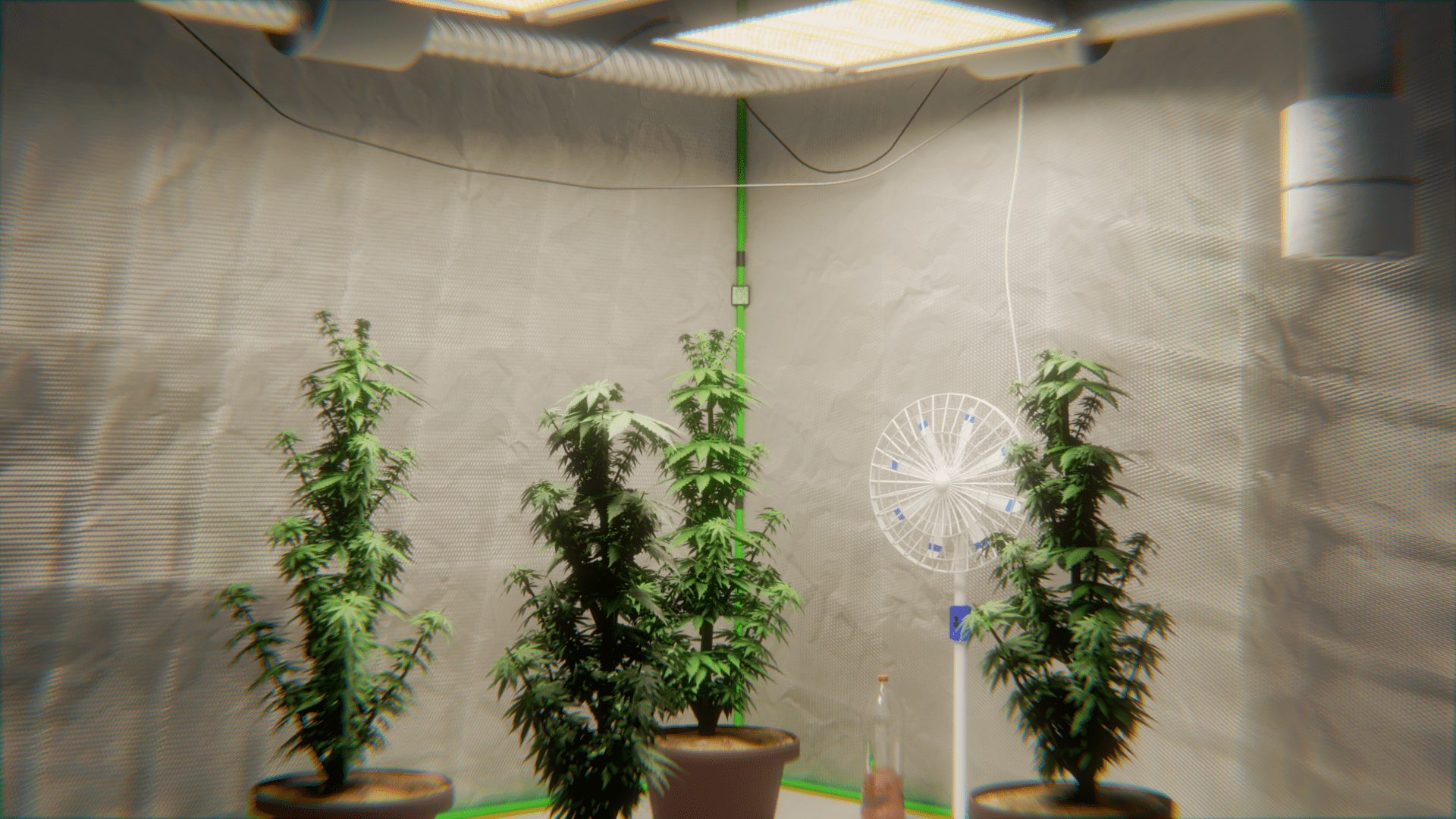 AThkx1amD0dbCugywxmyhhm16fOCLFCn8wQVHLqF