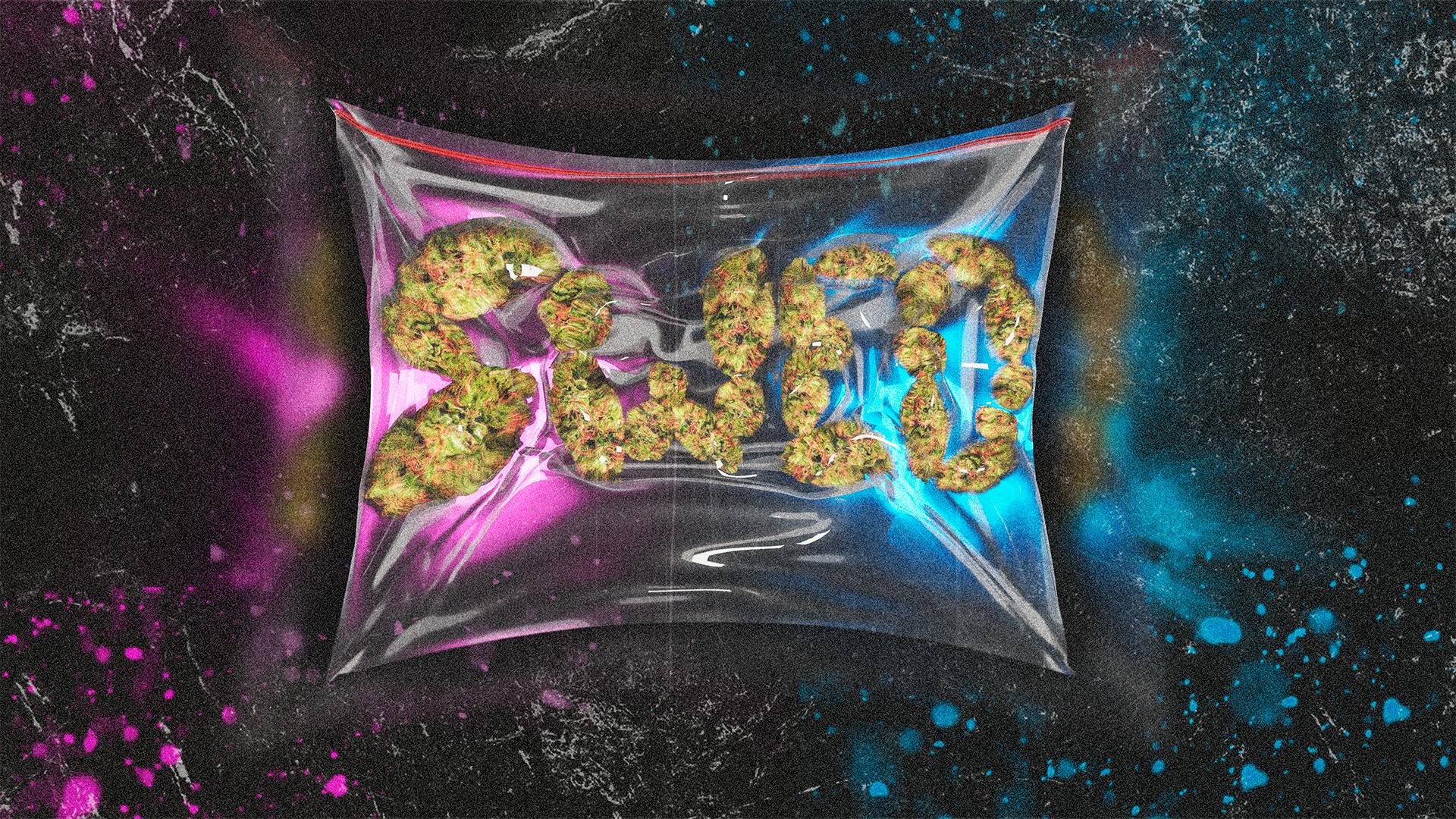 JlsIGSzKzPpeaboqwQ1rdBBxgNZDI4yLJHrYqi0l